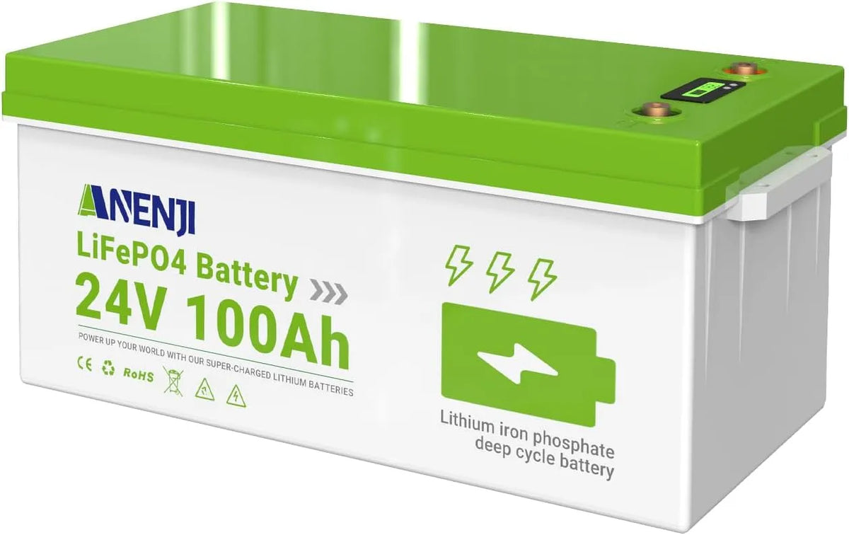 LiFePO4 LiFePO4-Batterie und Solar-Speicherbatterie, 100Ah, mit BMS, 2560Wh, 24V, für Camping und Wohnmobil